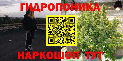 стафф Будённовск